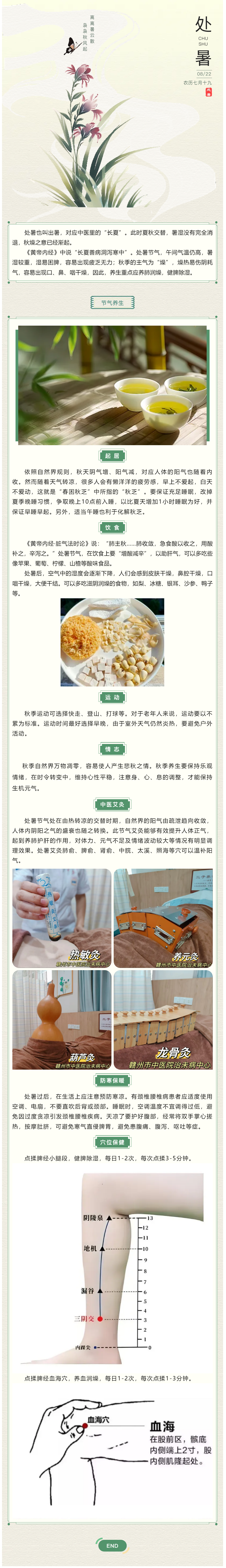 【我的節(jié)節(jié)】處暑節(jié)氣養(yǎng)生.png